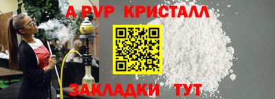 гашик Будённовск