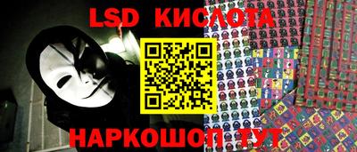 гашик Будённовск