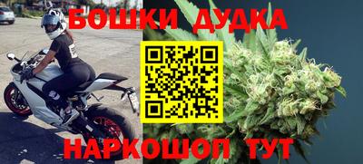 гашик Будённовск