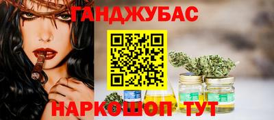 гашик Будённовск