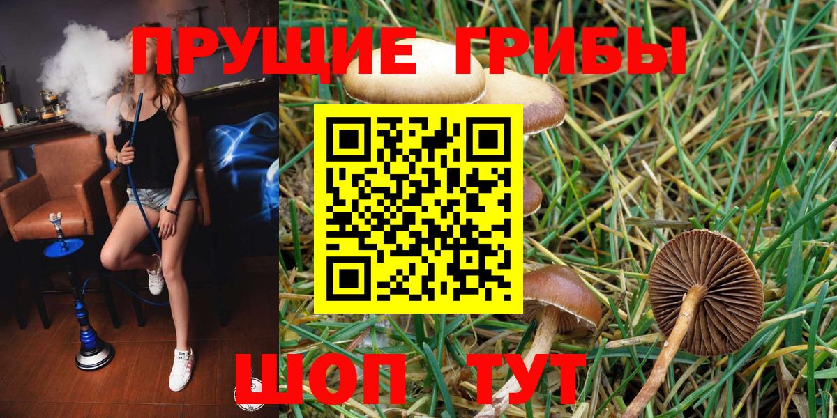 Галлюциногенные грибы ЛСД Лесозаводск