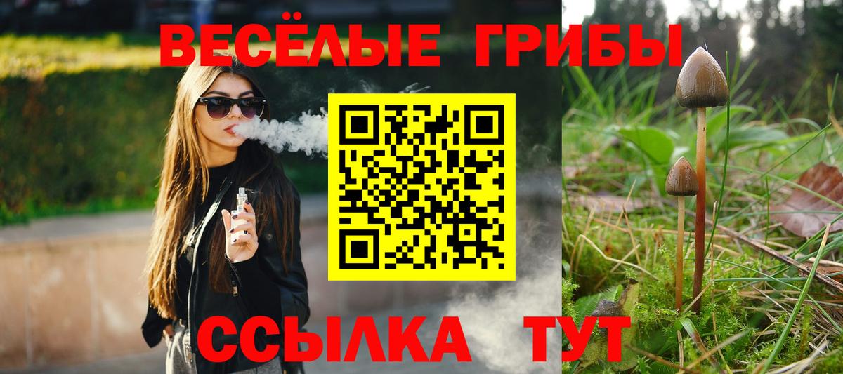 Галлюциногенные грибы Psilocybe  Вход с VPN  Лесозаводск 